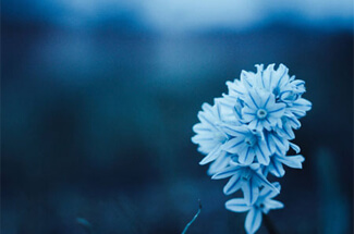 Outpatient Program